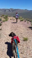 26-meanwhile_Mommy,Lexi,Rainier_are_hiking_back-Lexi_looks_for_everyone_else_in_the_distance