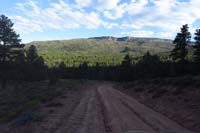 22-scenery_along_dirt_road_back_to_Hwy_12_and_campground