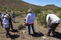 33-group_admiring_globemallow_and_beavertail_cactus_blooms-Leslie_focused_on_something