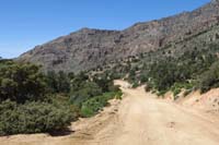 52-scenic_view_from_looking_back_down_road_from_Whitney_Pass_campsite_at_4850_feet