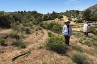 54-Kenny_with_Goldenbush_and_bighorn_sheep_spine_and_rib_cage_with_campsite_in_background