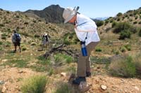 66-Kenny_helping_to_pull_red_brome_and_cheat_grass