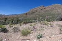 69-more_pretty_scenery
