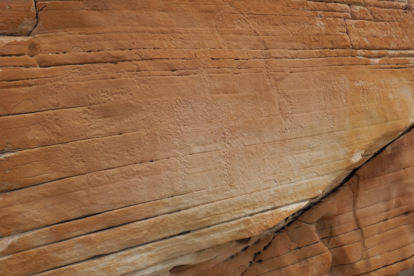 48-pecked_petroglyphs