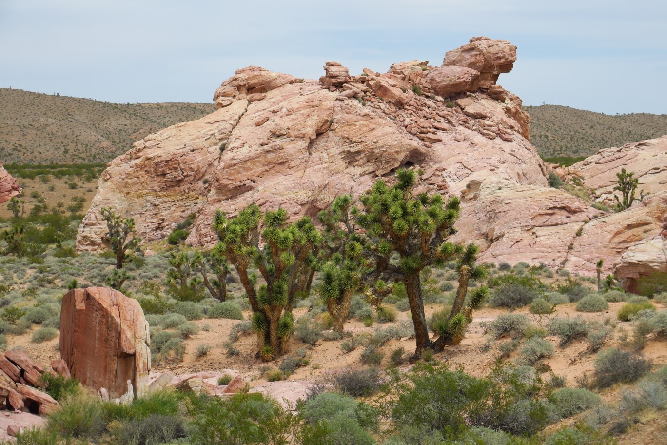 62-pretty_desert_scenery