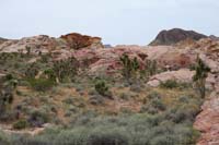 03-pretty_desert_scenery