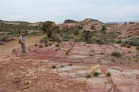 04-Liz_Boone_and_pretty_desert_scenery