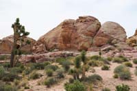 20-pretty_desert_scenery,rock_with_petroglyphs