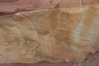 53-petroglyphs