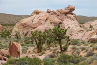 62-pretty_desert_scenery