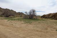 72-Gold_Butte_townsite