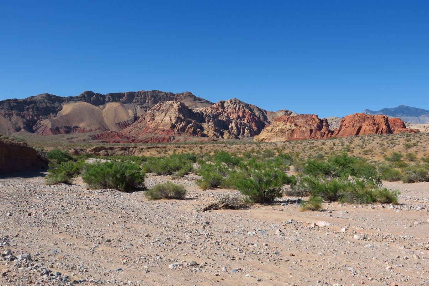 05-scenery_along_dirt_road