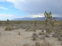 60-views_from_end_of_dirt_road