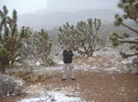 79-me_at_Joshua_Tree_turnout