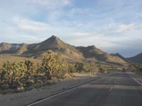 30-pretty_views_of_Joshua_Tree_forest_and_mountains-some_snow_on_slopes