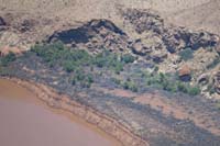 19-zoom_view_of_pine_trees_along_shelf_above_cliff-provides_size_reference