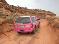 50-scenic_terrain_with_Pink