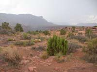 53-Toroweap_viewpoint