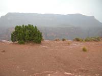 54-edge_of_Toroweap_viewpoint