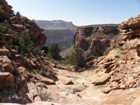 38-pretty_scenery_in_a_side_canyon