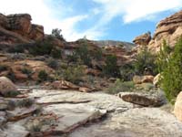 77-pretty_views_heading_out_of_Covington_Canyon