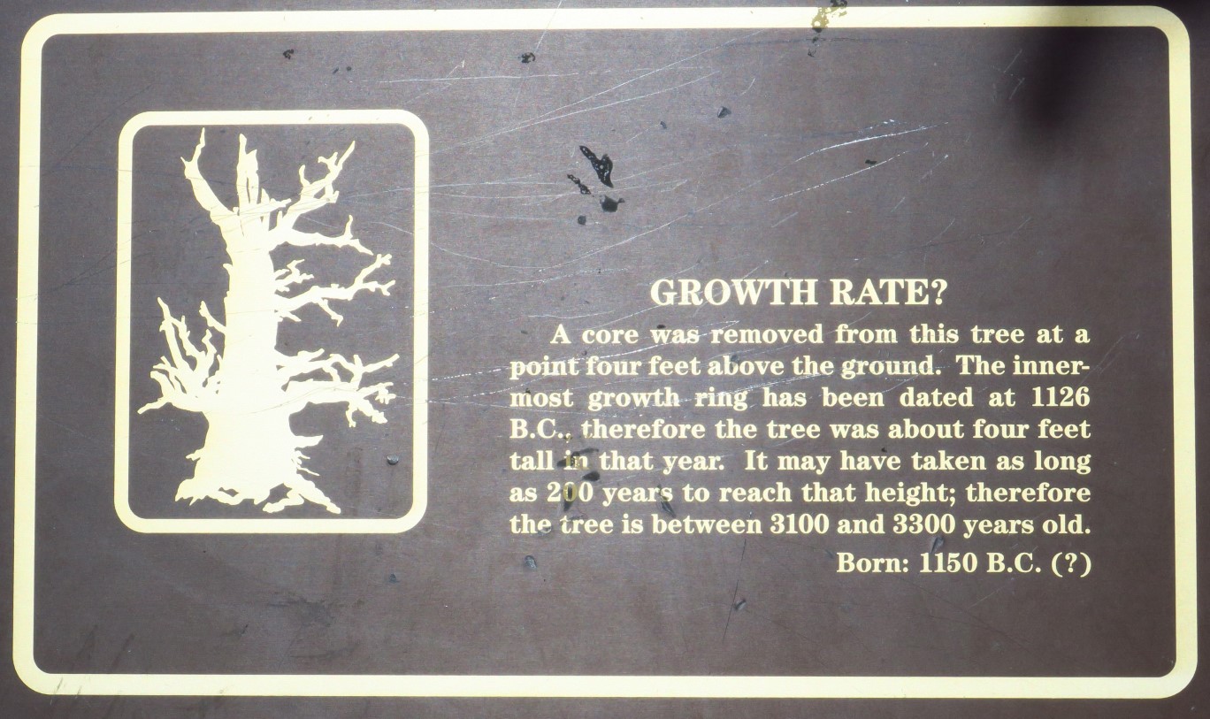 52-Interpretive_Sign-Growth_Rate