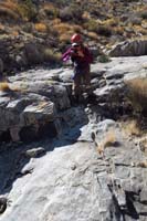 29-walked_next_to_sidewinder_rattlesnake,didn't_notice_until_movement_in_peripheral_vision,yelled_to_Luba_to_stop