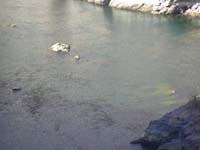 Hoover_Dam_and_bypass_bridge_from_Dam-morning17-20121031-zoomed_view_of_rocks_not_normally_exposed
