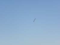 69-Thunderbirds_in_formation
