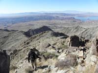 39-Peppe_leading_the_way_down-follow_ridgeline_then_drop_down_to_right