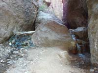 37-view_of_the_pool_areas-rock_with_rope_in_middle