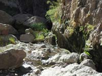 39-pretty_water_seeping_out_of_rocks