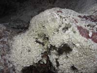 043-calcium_deposits_near_the_hot_spring