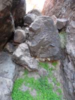 50-clearer_view_of_picture_09-challenging_climbing_down-came_from_class_4_area_to_left-no_go_to_right
