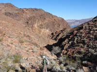 55-heading_down_drainage-actually_not_canyon_1_as_Ed_had_thought