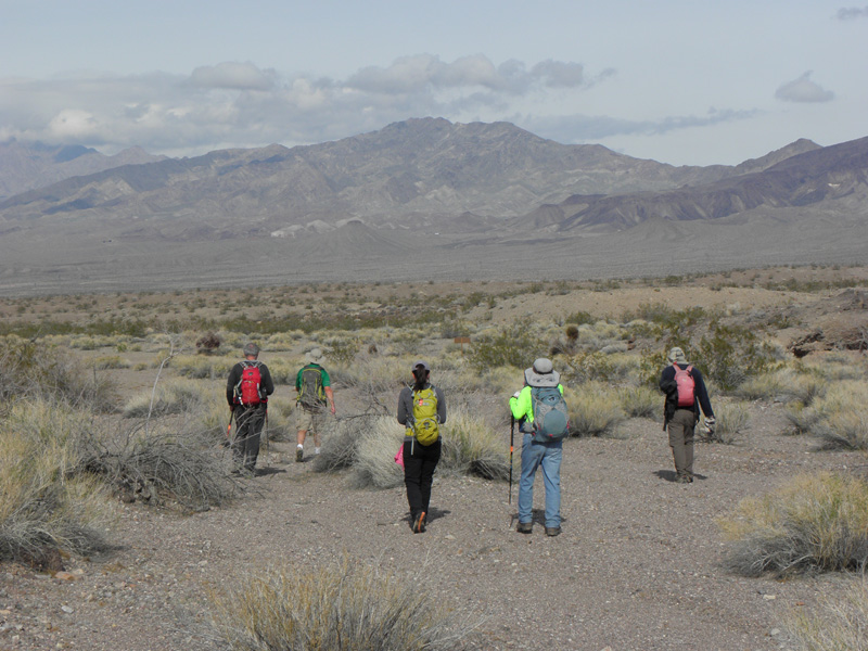 46-group_reaching_road_back_to_vehicles