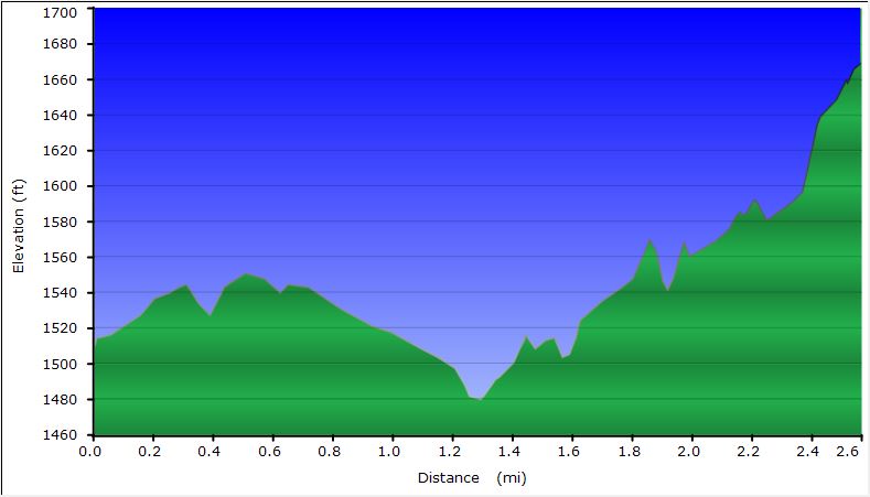 40-dirt_road_profile