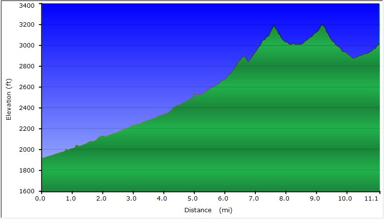 78-dirt_road_profile