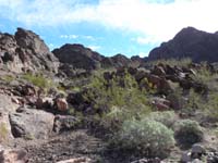 30-perhaps_way_up_for_future_consideration_to_get_to_Boyscout_Canyon