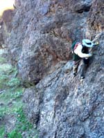 057-me_traversing_cliff_with_good_foot_holds-from_Laszlo