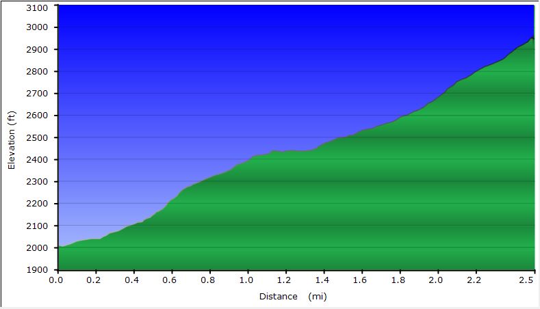 44-dirt_road_profile