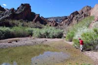 46-scenic_view_looking_back_up_the_drainage