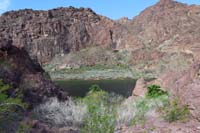 23-palms_trees_and_Colorado_River_visible