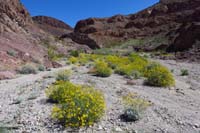 52-several_ups_and_downs_on_somewhat_loose_terrain