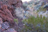 47-scrambling_up_the_same_way_we_went_down-going_back_the_same_way