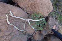 43-another_anchor_with_compromised_webbing_which_needs_to_be_replaced