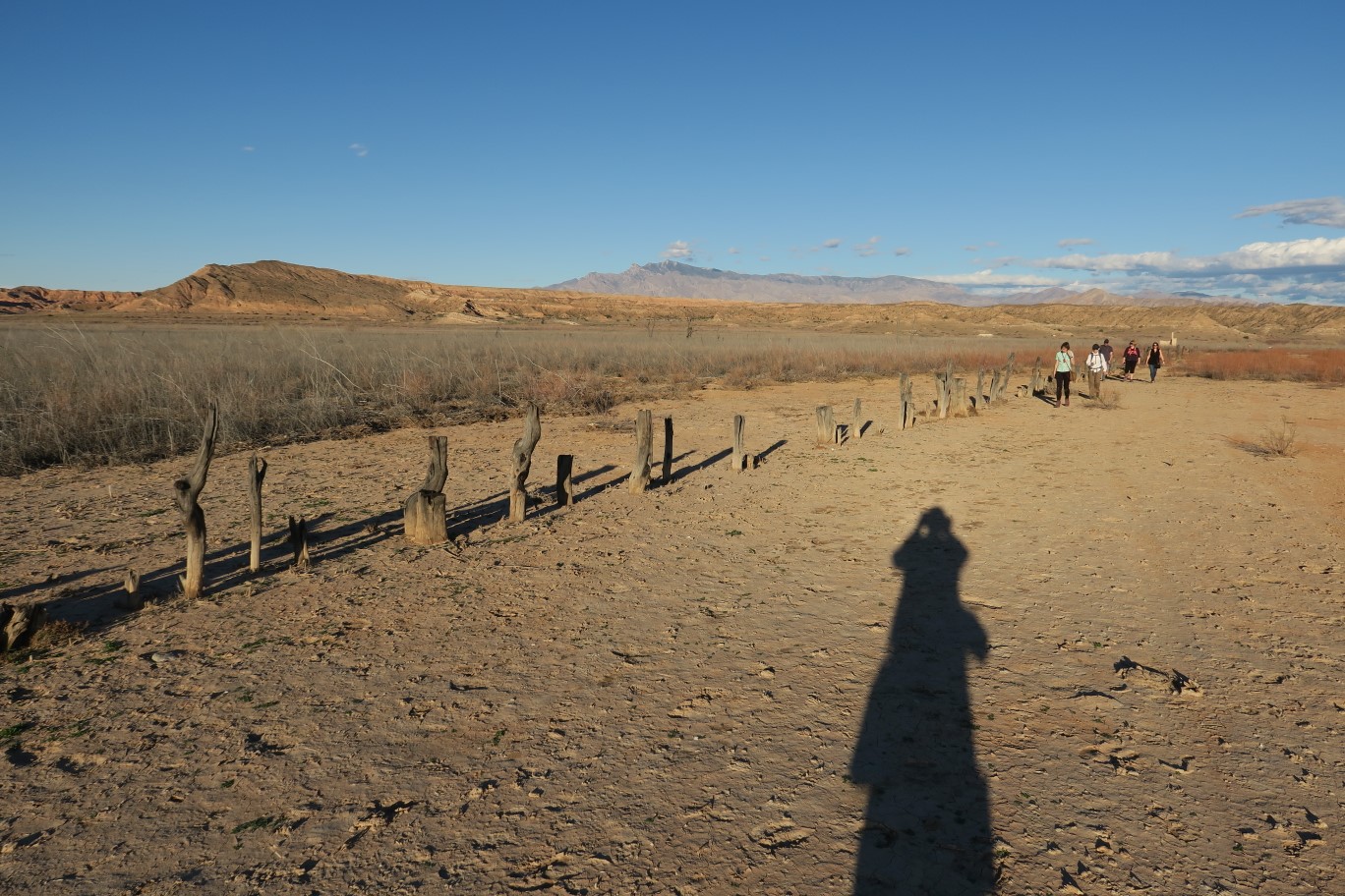 59-group_following_path_of_stump