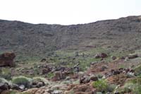 35-steep_slope_where_we_started,taking_ridge_towards_right_since_less_steep