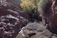 37-flowing_water_with_lots_of_vegetation