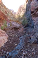 38-heading_up_the_pretty_vegetative_drainage